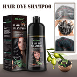 500ml Black Dye Shampoo Essence Covering White Hair Permanent Natural Argan Herbal Components Oil for Women Men