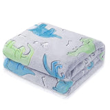 Glow In The Dark Kids, Toddler Blanket Boys, Dinosaur Gifts For Boys/Kids(A) Durable