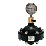 UPVC/PVC damper diaphragm pulsation buffer DN15/20/25/32/40/50