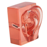Right Ear Model Clear Waterproof Multifunctional High Simulation Acrylic Ear Display Model Sturdy Transparent Red for Learning