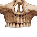 e84de8b7dd1a5f50a9ec6aa1acf27fbd