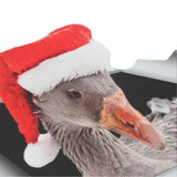 d54fc3d44d190b45fb40cd26d41aaaea