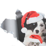 f2688eb55b20de963a2736c8dcbf81ec