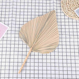 beb087270cb0115ca37318a21bccc429