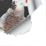 459b5aa9b581aa1e5dcf9838c69aa4b8