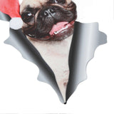 2eca79aa5e08eddc1c097534cb963226