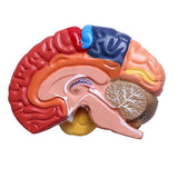 263b575a6a5c55ffb7c7e451dd74e2dd