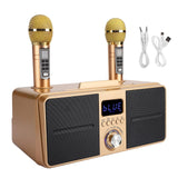 Family KTV High Quality Sound Kit Integrated Wireless Microphone Live o Card Bluetooth Karaoke SpeakerGold