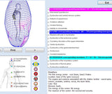 Bioresonance Original Russian 8D/9D/17D NLS Health Analyzer / Body Analysis hine with Aura AND CHAKRAS