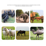 10KM Electric Fence Solar Charger Controller Animal Horse Cattle Poultry Farm Shepherd Livestock Tool US Plug