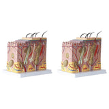 50X Enlarged Anatomical Skin Model for Classroom Display Teaching