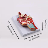 c55ea6eb994e2512b8b407cff59872a7