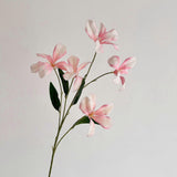 d804e353135fe82d6a3a05df1b509687