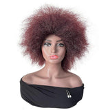 Short Curly Wigs for Women Afro Curly Wig, B