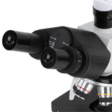 fd126496b3d177c3a0c563d2ac3cd7e8