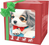 9562bb6c56ce1f8c24ef8155fcaca92a