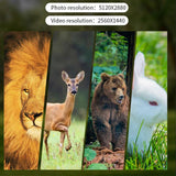 d9a065c613f47b1b20acae4abd048e8e