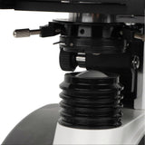 9916edf9ff533b173c83850171a03abd