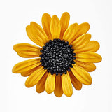 Flower Lapel Pin for Women, Yellow Sunflower Shape Alloy Brooch for Ladies  Backpack Clothes Hat Accessories (Color : Gold, Size : 1.4' x 1.4')