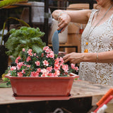 093412dbea64d92dae5037322b0ff94f