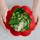 fed1a8f4816453052ac1ff75a690b862