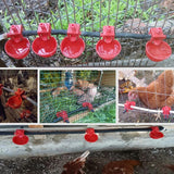 5/10/20Sets Poultry Automatic Water Feeding Bowls for Chicken Coop Quail Poultry Chicken Fowl Drinker Farm Drinking cups