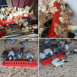 50cm Flip-Top Poultry Ground Feeder Chicken Poultry Feeder Trough Chicken farming tool Pheasant feeding bucket Quality Chick