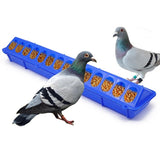50cm Flip-Top Poultry Ground Feeder Chicken Poultry Feeder Trough Chicken farming tool Pheasant feeding bucket Quality Chick
