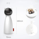 Automatic Laser Timer Tickle Cat