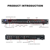 Pre Reverb Effector, Digital Audio Processor, Professional Microphone, Anti Screaming Reverber, Mixer, Intellig