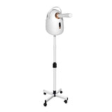 Facial Steamer Ionic Facial Steamer Can Add Aromatherapy Beauty Salon Face Facial Vaporizer Smart Hydrating Nano