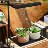 ONF Flat Nano Full Spectrum LED Plant Light Freshwater for Under 10 Gallon Fish Tank Terrarium Aquarium Decor