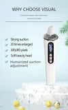 Ultrasonic Beauty Multifunctional Skin Care Face Sonic Electric 2 In 1 Facial Cleansing Brush with Blackhead Remover Tools