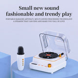 H6 speaker retro vinyl record player, Bluetooth sound karaoke band microphone card, radio creative gifts