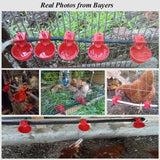 5Pcs Chicken Drinking Water Cups for Chicken Quail Coop  Drinker Bowl Automatic Poultry Coop Feeder Water Drinking Cups