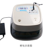 16 Incubator Automatic Household Chicken Incubators Small Incubator Eggs Egg Incubator Incubator