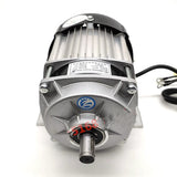 DC reduction brushless motor BM1418ZXF 750W 500W 350W 48V single button straight shaft model