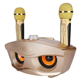 Bluetooth Speaker Home KTV Karaoke Bluetooth Speaker with Two Microphone (Gold)