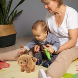 803ddeb30c2c76eb23f1130748cb2baf