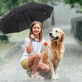 52c53edc4d8eeeb53a55a18237c29939
