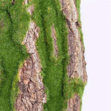 f85b674de50ea7b31e1b10d34b7dec03