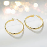 4350686884497b13cc8ed12403478979