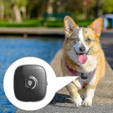 b9207a4afdc9213816412aae775f656d