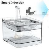 Induction automatic water dispenser