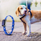 GPS pet positioning collar