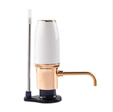 Electric Decanter USB Rechargeable Automatic Aerator Pump Dispenser for Red and White Wine Aeration