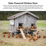 10774d5693fadca69393d00030ea0eb8