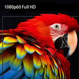 009bd55c08153aaaccaad8ba2f5ebd10