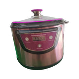 Garlic Fermenter Multiple Clove Quick Fermentation Large Capacity Automatic Black Machine For Garlic Natto Yogurt