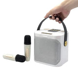 High Power Karaoke hine Portable Wireless Bluetooth 5.0 Speaker System With Dual Microphone Home TV KTV Set Support TF Card